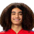 https://img.xzdzcsd.com/img/football/player/87359ed9061cfd73513d827263deebcd.png